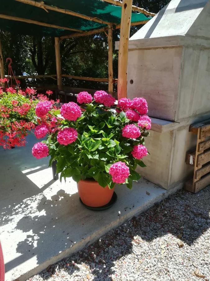 Stela Διαμέρισμα Pinezići Εξωτερικό φωτογραφία