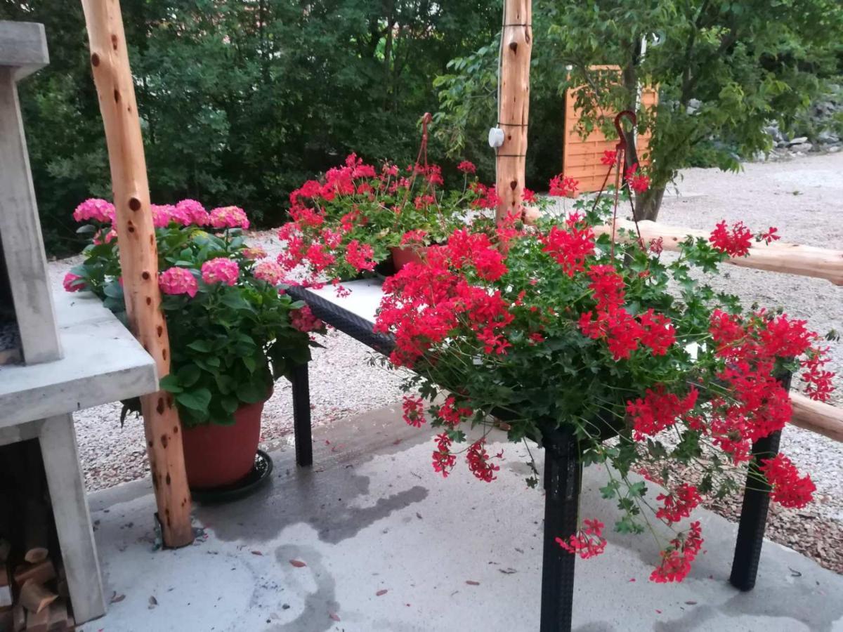 Stela Διαμέρισμα Pinezići Εξωτερικό φωτογραφία